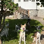 Pinerose 4* Bansko