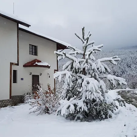 Pinerose 4* Μπάνσκο