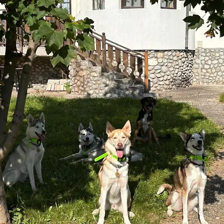 Pinerose 4* Bansko
