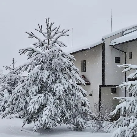 Hotel Pinerose Bansko