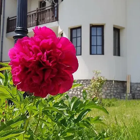 Pinerose Hotel Bansko