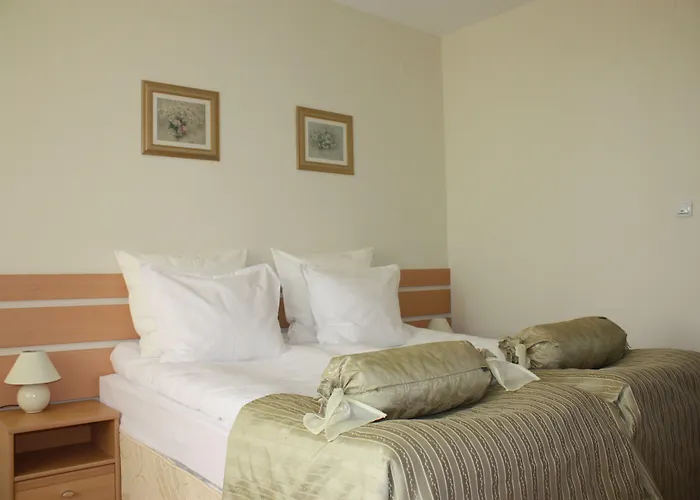 Hotel Pinerose Bansko
